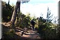 P6026202.JPG