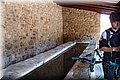 P6026207.JPG