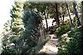 P6026214.JPG