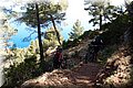 P6026217.JPG