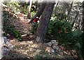 P6026218.JPG