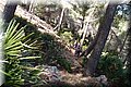 P6026220.JPG