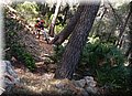 P6026221.JPG