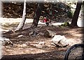P6026225.JPG