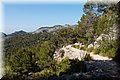 P6096532.JPG