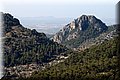 P6096534.JPG