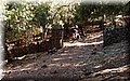P6096560.JPG
