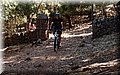 P6096561.JPG