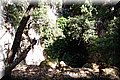 P6096565.JPG