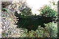 P6096567.JPG