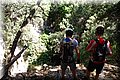 P6096571.JPG