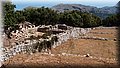 P6096577.JPG