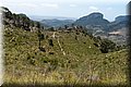 P6096605.JPG