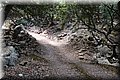 P6096608.JPG