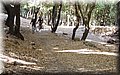 P6166965.JPG