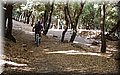 P6166966.JPG
