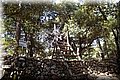 P6166970.JPG