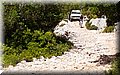 P6166975.JPG