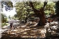 P6166980.JPG