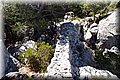 P6166997.JPG