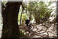 P6167007.JPG