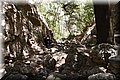P6167010.JPG