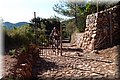 P6237219.JPG