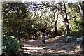P6237231.JPG
