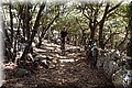 P6237236.JPG