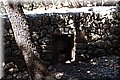 P6237249.JPG