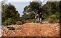 P7147877.JPG