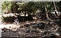 P7147881.JPG