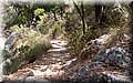 P7147884.JPG