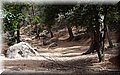 P7147896.JPG