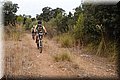 P8058341.JPG