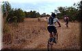 P8058342.JPG