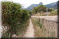 P8058348.JPG