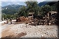 P8058362.JPG
