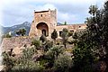 P8058366.JPG