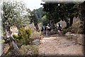 P8058367.JPG