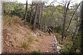 P8058411.JPG