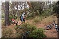 P8058423.JPG