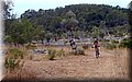 P8058428.JPG