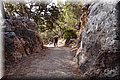 P9229737.JPG