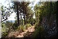 P9229779.JPG