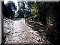 2012_08120042.JPG