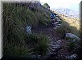 2012_08120055.JPG