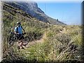 2012_08120056.JPG