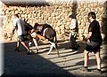 DSCF6005.JPG