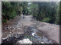 DSCF6009.JPG